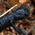 Salamandra atra, d