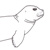 Foca monaca (Monachus monachus)