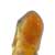 Larva