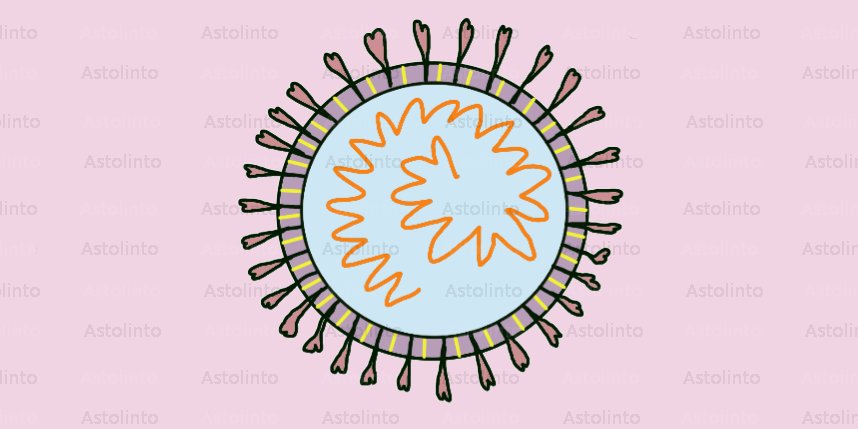 Virus (Acitota), foto principale.