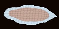Disegno di Mesozoi
