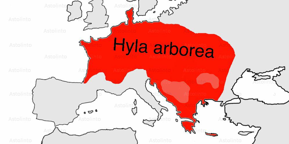Distribuzione della specie Hyla arborea.