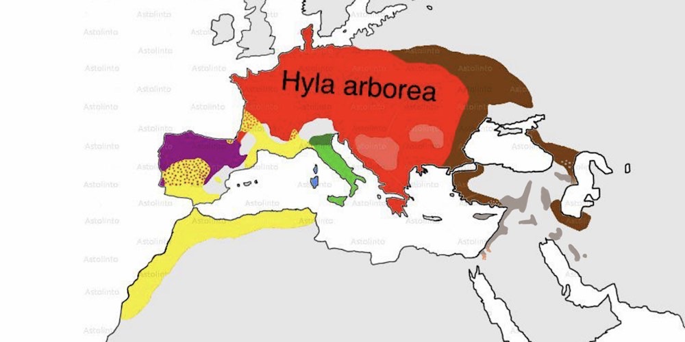 Raganelle, cartina geografica.