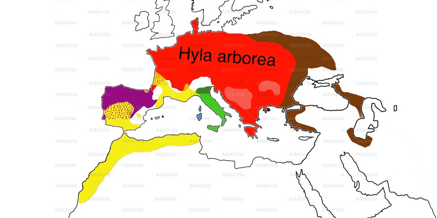mappa delle raganelle europee