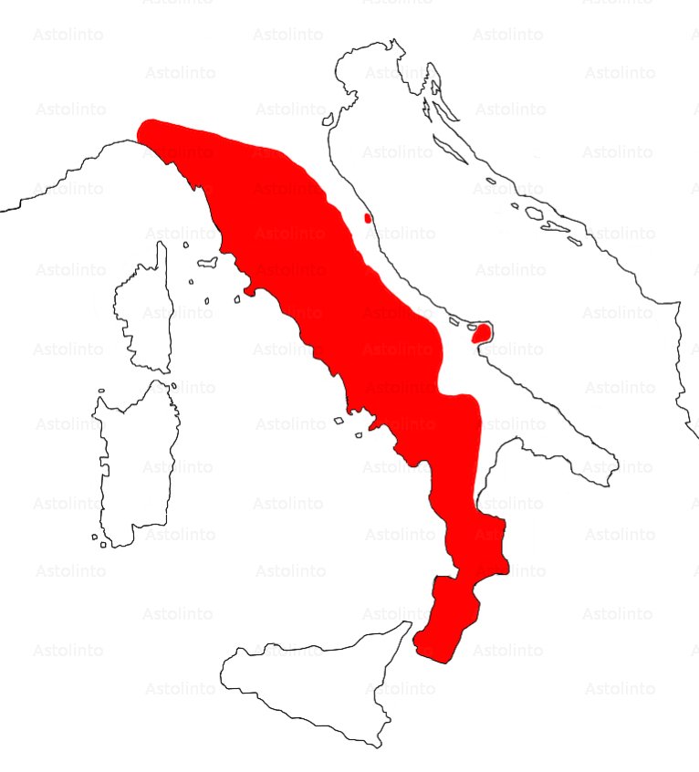Distribuzione della specie Rana italica.