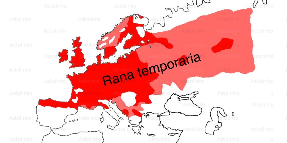 Distribuzione della specie Rana temporaria.