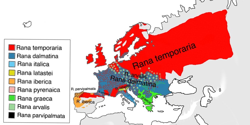 RaneRosse, cartina geografica.