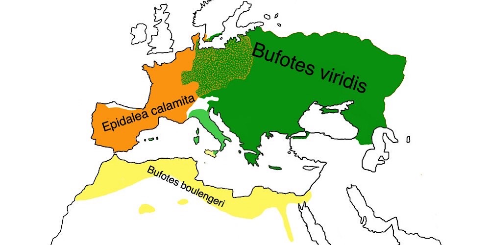 Rospi, cartina geografica.