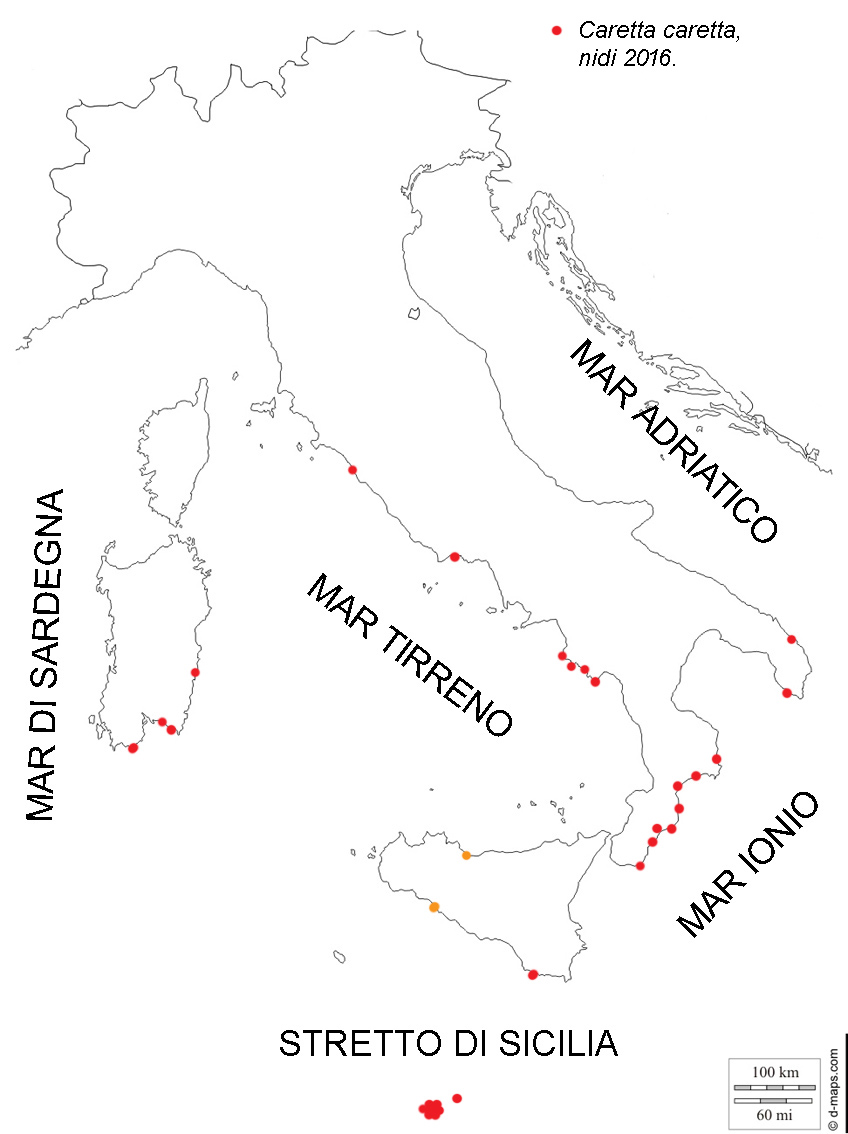 Mappa semplificata deli nidi di Caretta caretta nel 2016. I punti sulla mappa sono indicativi e non rappresentano la località precisa.