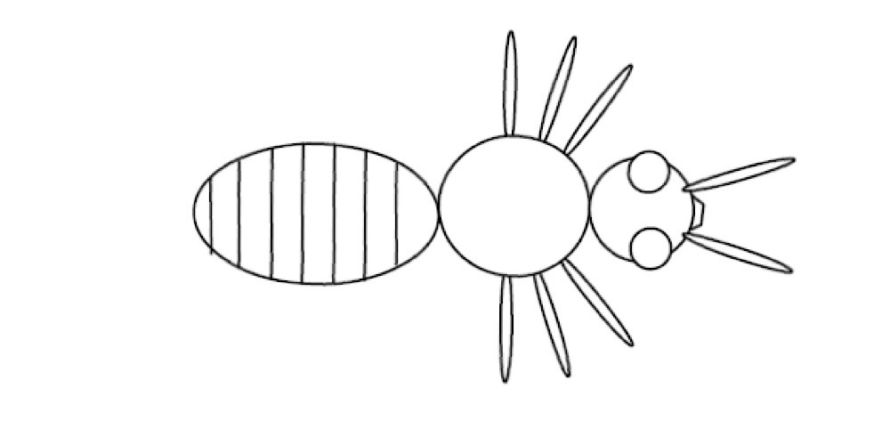Caratteristiche degli insetti