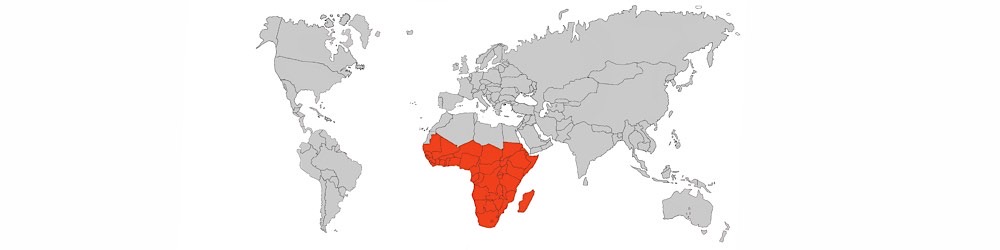Mappa del AFRICA SUB-SAHARIANA nel 2025