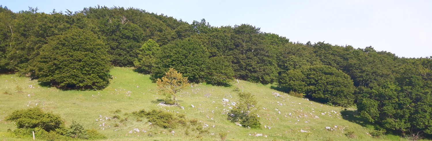 Immagine di un ambiente preferito.