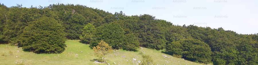 Immagine di un ambiente preferito.