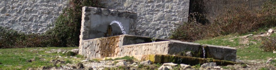 Immagine di un ambiente preferito.