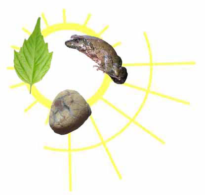 sun