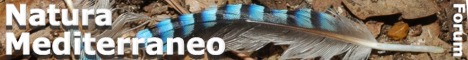 Natura Mediterraneo