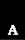 Anfibi