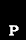 Pesci